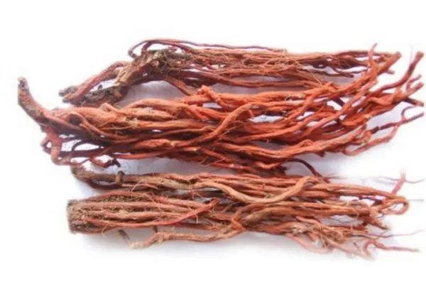 Benefits of Drinking Salvia Miltiorrhiza Tea: Effects and Functions of Salvia Miltiorrhiza