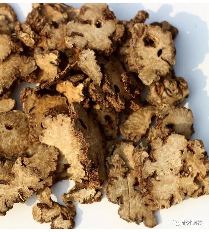 Understanding a Chinese Herbal Medicine Each Day