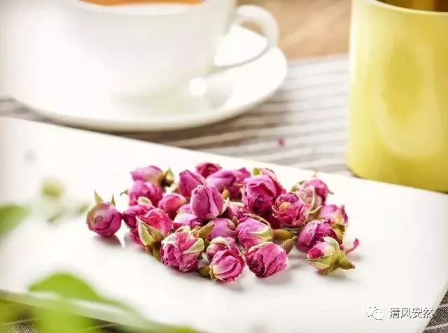 10 Remarkable Uses of Honeysuckle for Family Health - A Must-Read!
