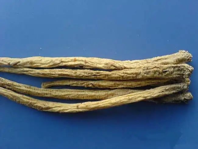 Knowledge of Ginseng Part Seven - The Effects and Usage of Codonopsis