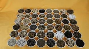 Understanding the Nine Methods of Clearing Heat and Detoxifying According to Zhang Zhongjing