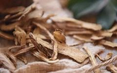 The Numerous Benefits of Angelica Sinensis for Women: Essential for This Group!
