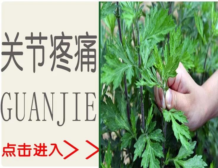 Seven Major Qi-Boosting Chinese Herbs to Keep in Mind