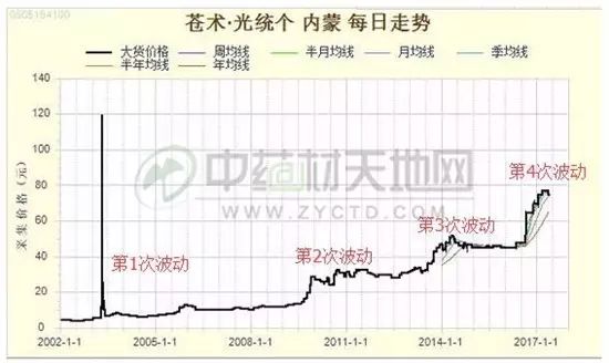 The Market Trends of Bei Cang Zhu (Atractylodes macrocephala) and Its Future Prospects