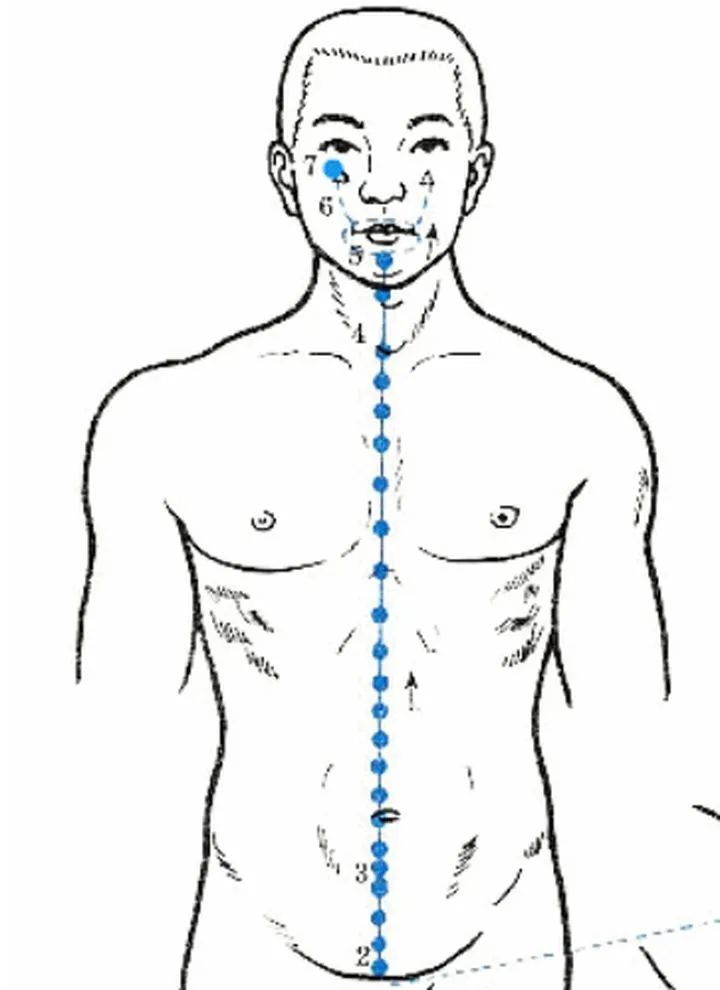 Understanding the Eight Extraordinary Meridians in TCM
