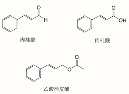 Daily Herb in Traditional Chinese Medicine - Cinnamon