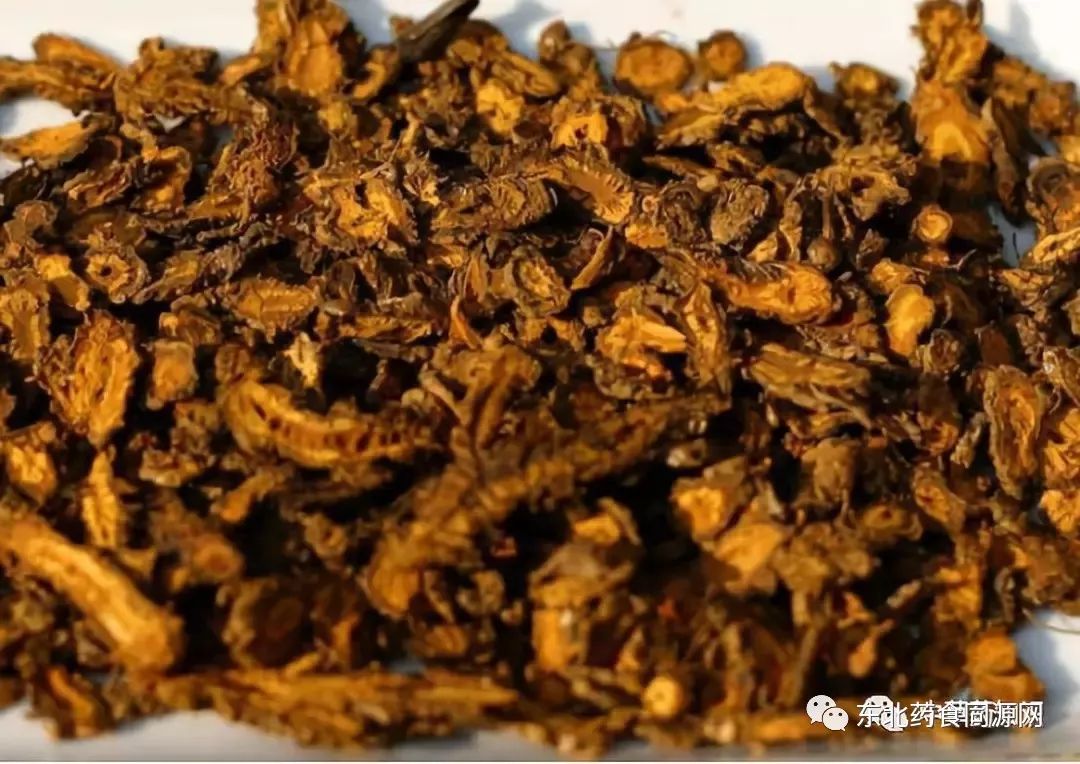 Knowledge of Chinese Medicinal Herbs: Huanglian (Coptis)