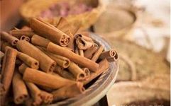 Cinnamon: A Comprehensive Overview of Its Properties and Uses in Traditional Chinese Medicine