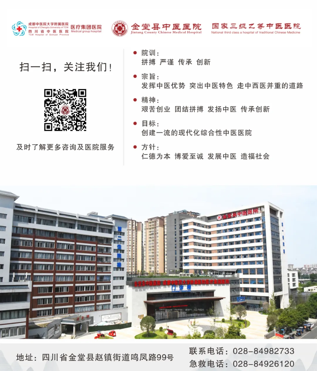 Understanding Poria (Fu Ling) in Traditional Chinese Medicine
