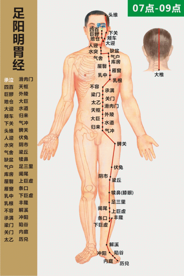 Summary of 90 Acupuncture Points and Their Therapeutic Functions with Illustrations! (Recommended for Collection)