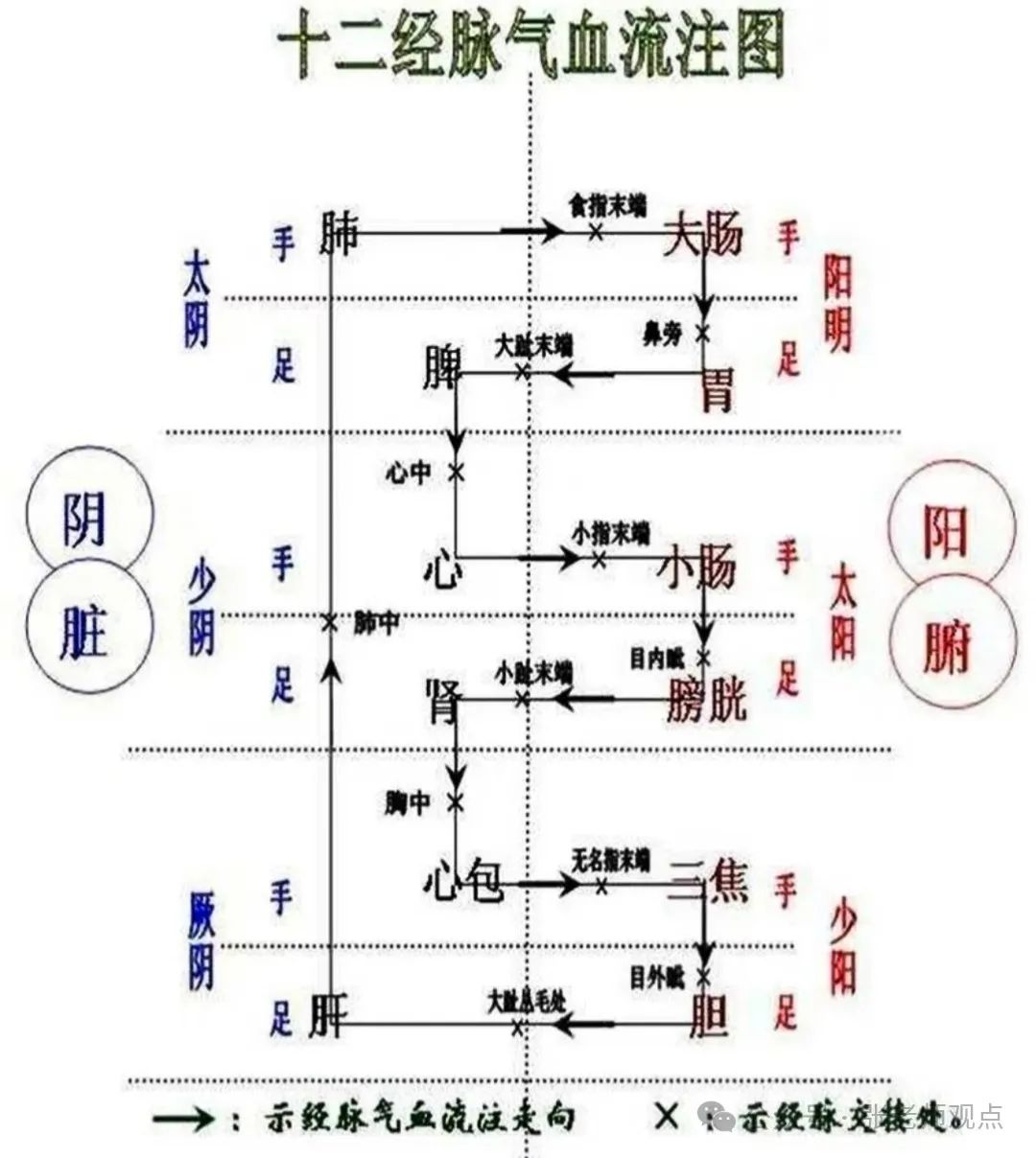 Differentiation of Eight Principles and Six Meridians (Liu Duzhou)