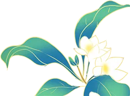 Three Methods of TCM Health Preservation to Prevent Disease and Enhance Immunity