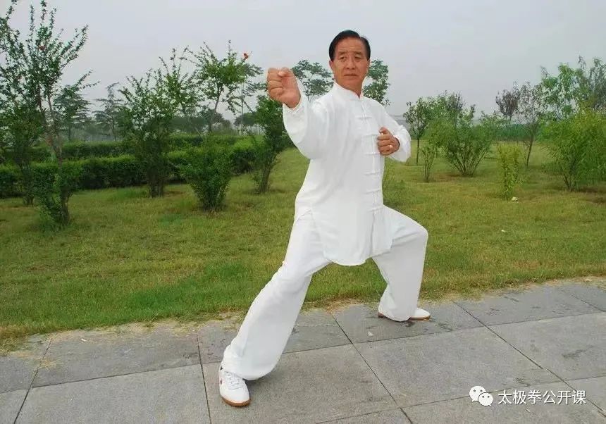 The 23 Palm Techniques of Tai Chi: Infinite Benefits After Mastery!