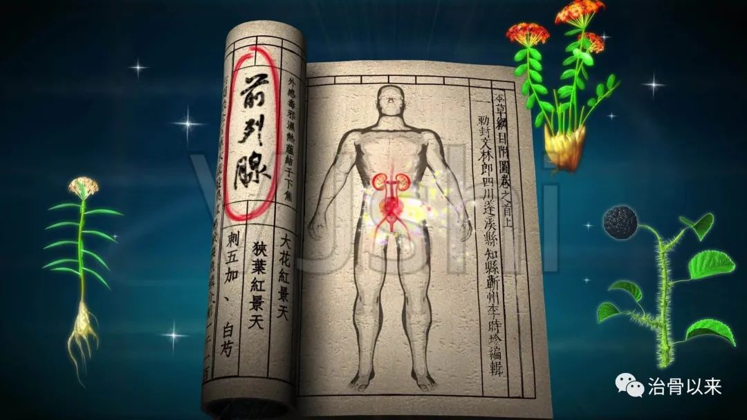 Comprehensive Dietary Therapy for Qi and Blood Deficiency: Effective TCM Formulas for Treating Anemia