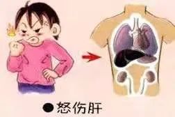 The Impact of Emotional Disturbances on Our Physical Health in Traditional Chinese Medicine