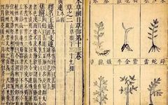 An Overview of the Ming and Qing Editions of the Compendium of Materia Medica