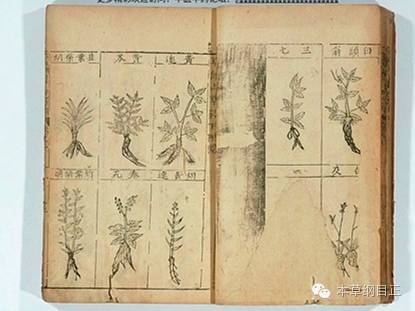 Reflections on the Compendium of Materia Medica: The World is Medicine