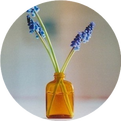 Essential Formulas from the Golden Chamber