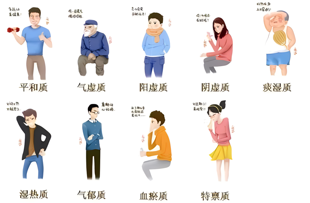 Dietary Regulation for Harmonious Constitution in Traditional Chinese Medicine