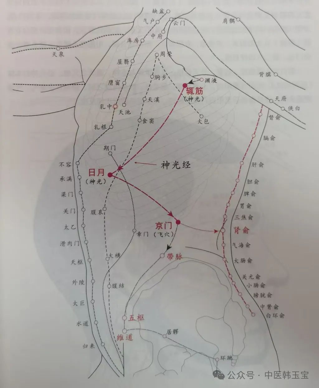 Meridian Studies I: Wu Men Meridian and Tai Yang Meridian