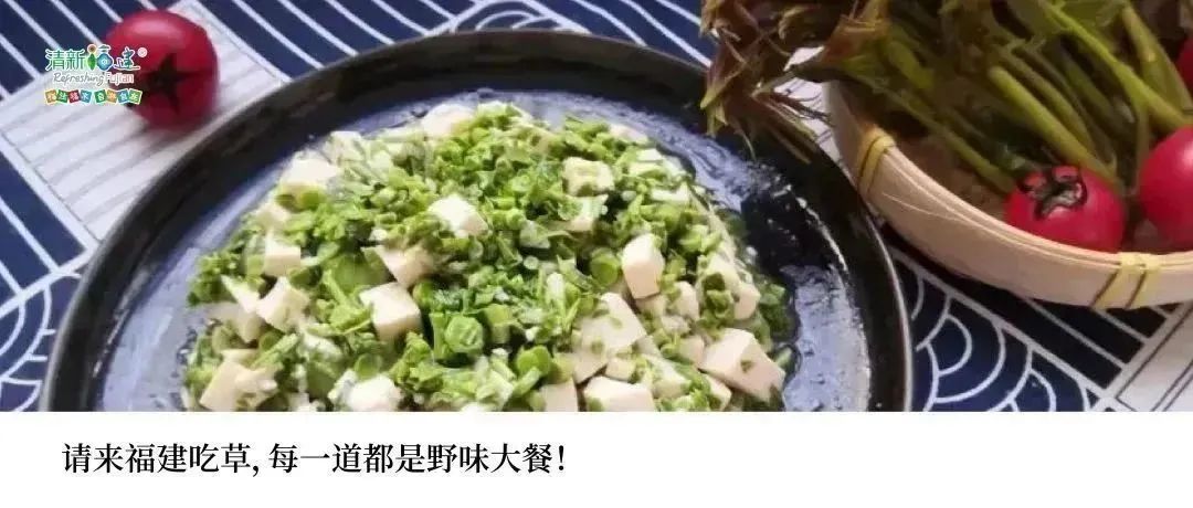 Nourishing the Stomach and Easing Homesickness with Fujian Medicinal Cuisine!