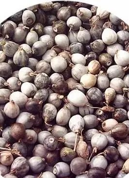 Eighteen Foods to Eliminate Dampness and Detoxify the Body