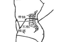Acupuncture: The Eight Extraordinary Meridians - The Dai Mai