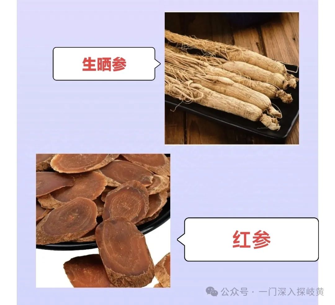 A Brief Discussion on Ginseng