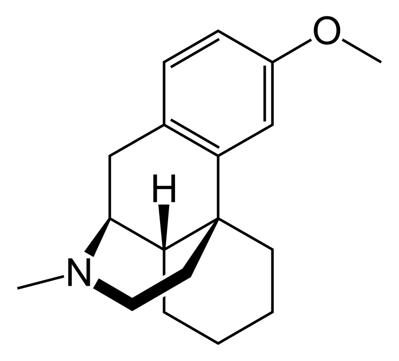 Patient Admitted with Seizures: Conflicting Accounts from Family Lead to Immediate Cessation of Medical Orders by Senior Physician