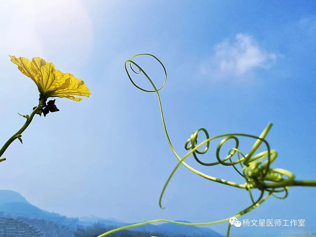 Ten Methods of Supporting the Body and Expelling Evil to Treat Cancer