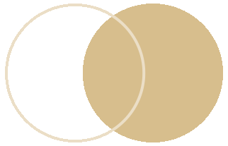 Understanding Zen Meditation: A Guide to the Infinite Life Sutra