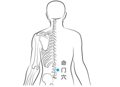 Traditional Chinese Medicine: Warming Meridians and Strengthening the Body to Expel Pathogens