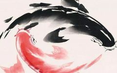 The Key to Health Preservation—Yin and Yang