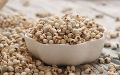 Traditional Chinese Medicine Knowledge: Dual Use of Food and Medicine | Strengthening the Spleen, Promoting Water Metabolism, and Clearing Heat and Dampness! A Summer Essential
