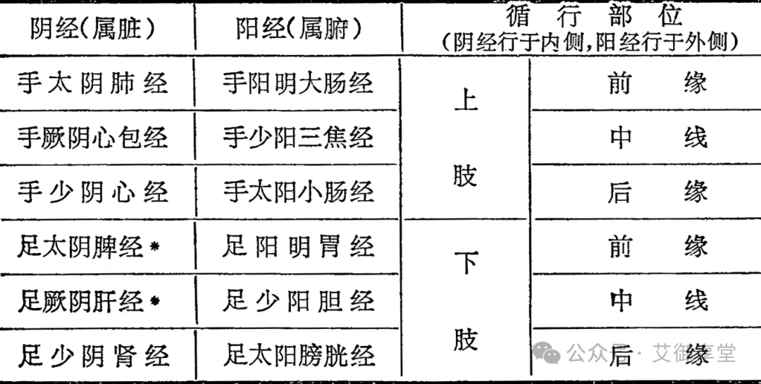 Distribution Patterns of the Twelve Meridians