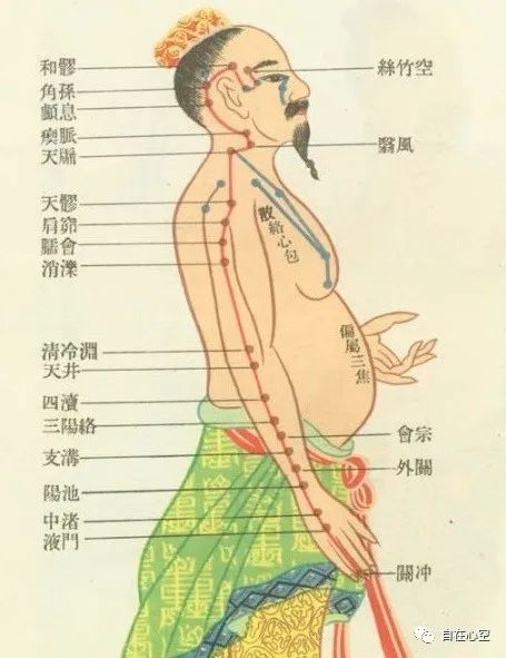 The Floating and Collateral Vessels in Traditional Chinese Medicine