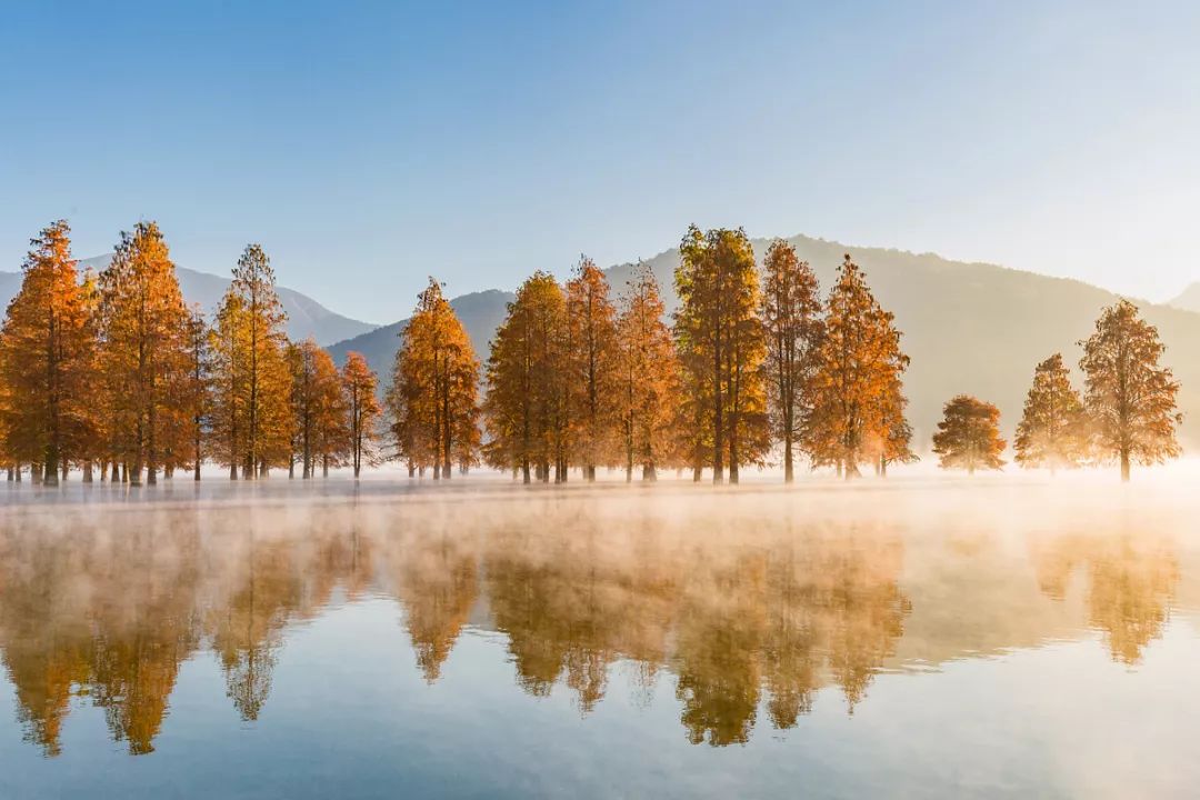 Autumn Equinox Health Preservation: Balancing Yin and Yang