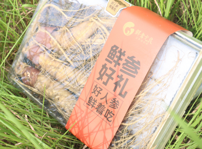 Why Fresh Ginseng is Beneficial? Nourishing and Strengthening Without Causing Heat! How to Consume Fresh Ginseng? Understand It All in One Article!