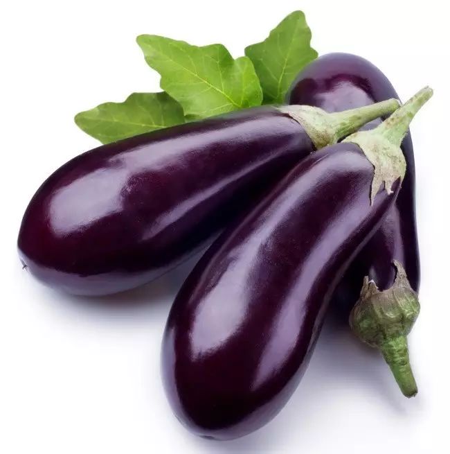 Food is the Best Medicine! A Comprehensive Guide to Dietary Therapy by Central Health Experts!