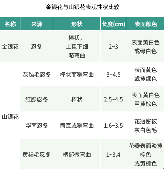 Distinguishing Between Jin Yin Hua and Shan Yin Hua in Traditional Chinese Medicine