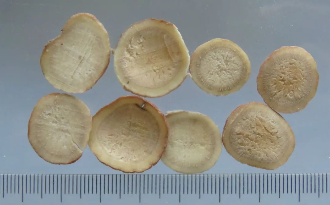 The Therapeutic Properties of Bai Shao and Chi Shao in Traditional Chinese Medicine