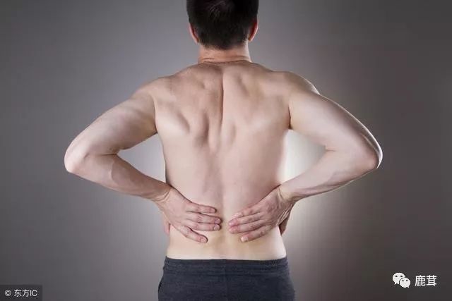 Causes and Symptoms of Kidney Yang Deficiency: What TCM Yang-Replenishing Herbs Are Available?