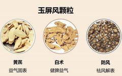 Four Major Qi-Boosting Traditional Chinese Medicine Formulas for Heart, Spleen, Lung, and Kidney Qi: Energize Your Vitality All Year Round