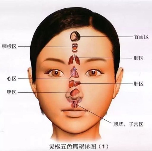 Comprehensive Observation in Traditional Chinese Medicine