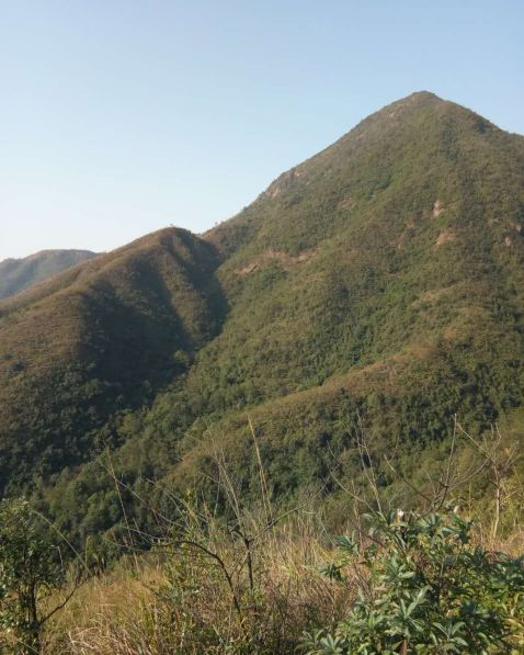 Diary of an Eighteen-Year-Old Medical Student: Practicing Meridian Endurance