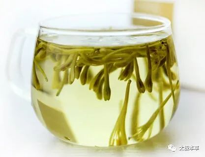 A Flower of Honeysuckle: 8 Uses for Treating 27 Diseases