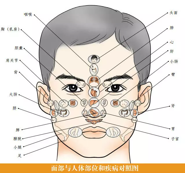 Understanding TCM Facial Diagnosis: A Comprehensive Guide