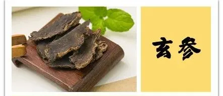 Ten Herbs for Nourishing Yin: A Reference for Individuals with Yin Deficiency