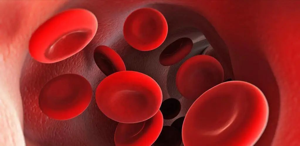 Five Scientific Methods to Nourish Blood!