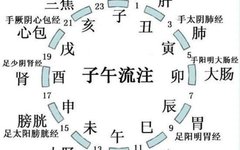 Illustration of the Twelve Meridians